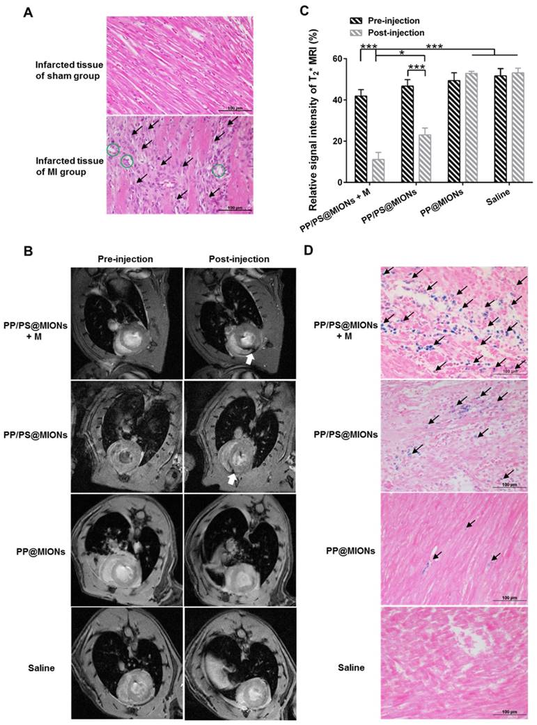 Theranostics Image