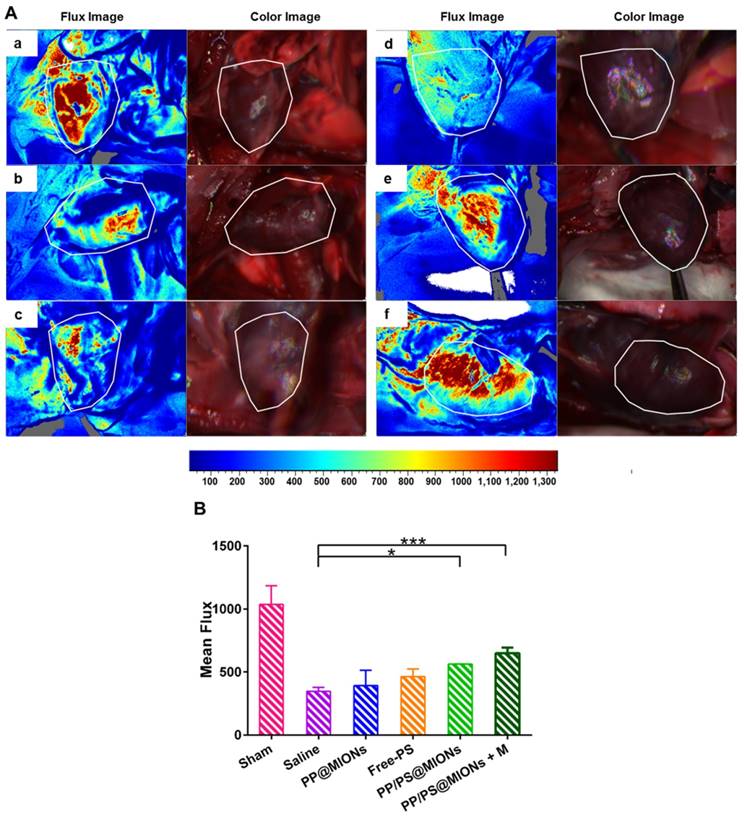 Theranostics Image