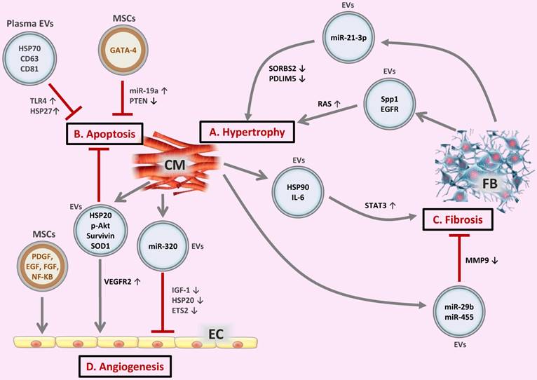 Theranostics Image