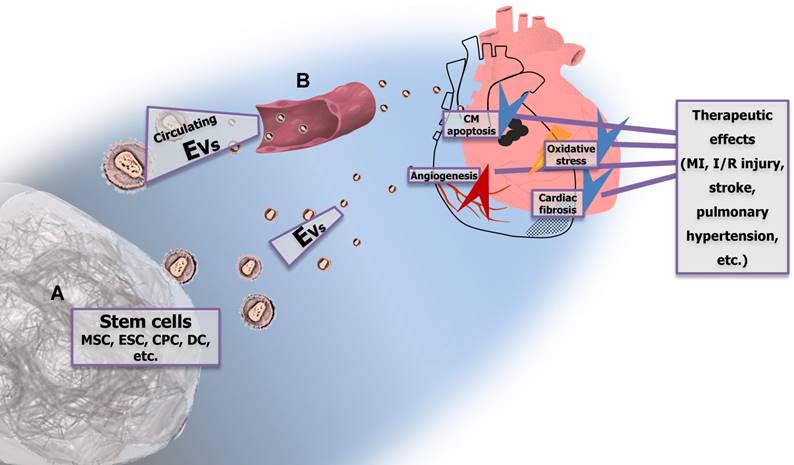 Theranostics Image