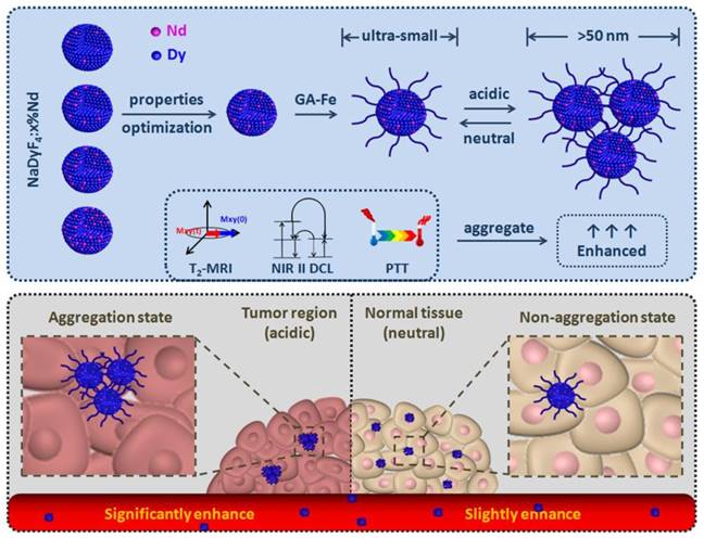 Theranostics Image