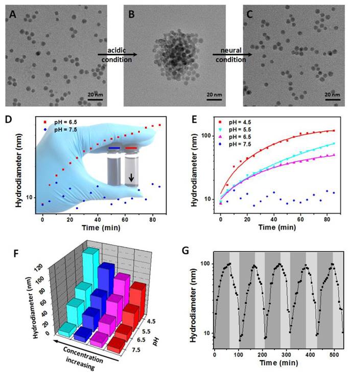 Theranostics Image