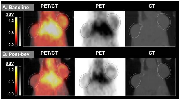 Theranostics Image