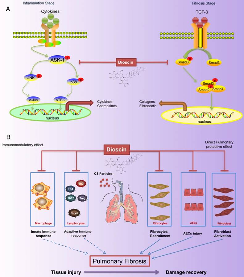 Theranostics Image