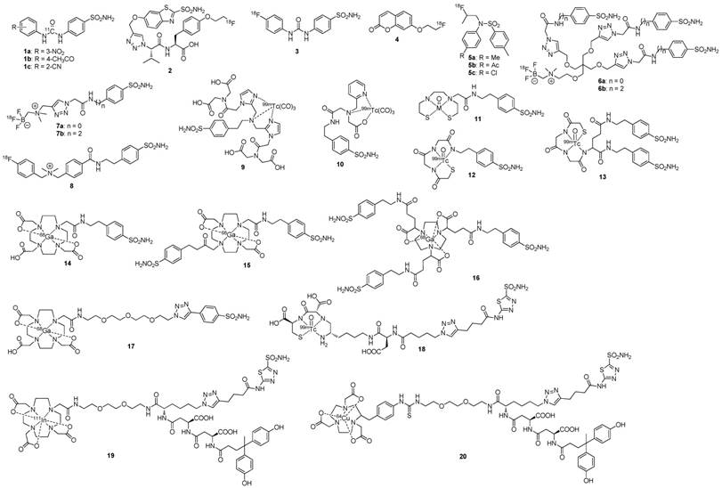 Theranostics Image