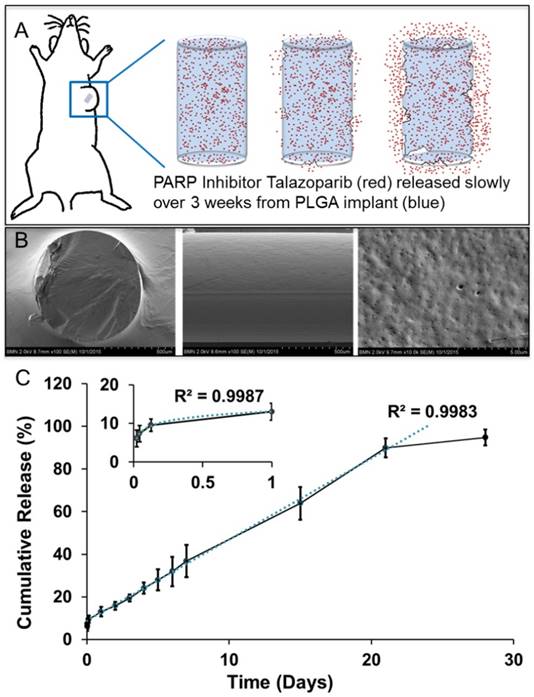 Theranostics Image