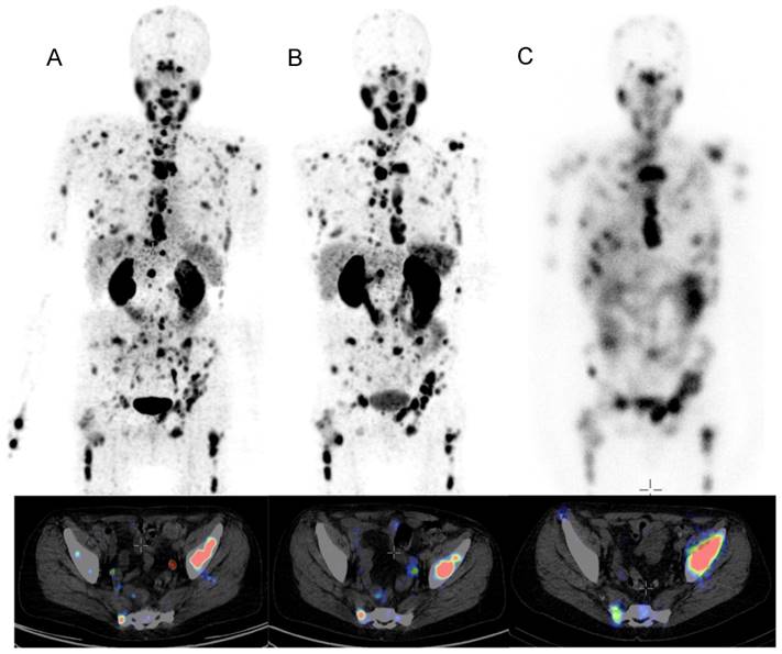 Theranostics Image