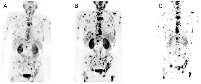 Theranostics Image