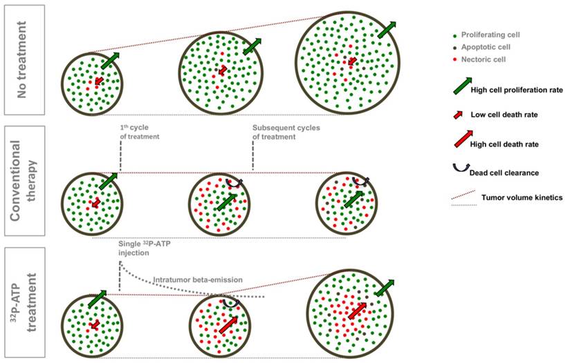 Theranostics Image