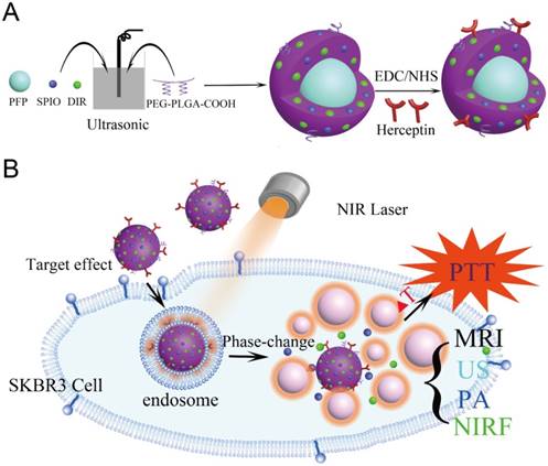 Theranostics Image