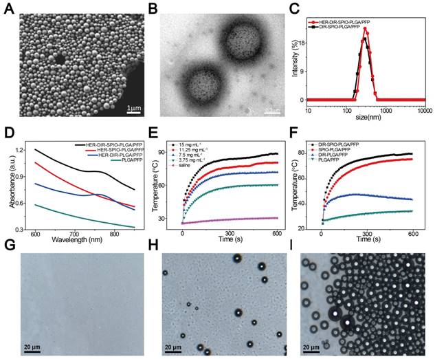 Theranostics Image