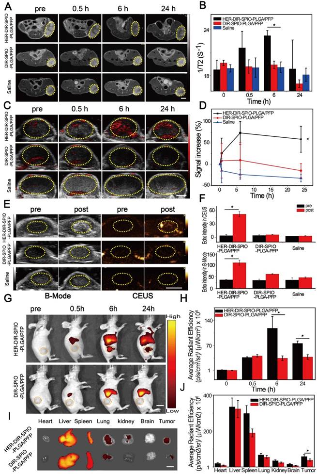 Theranostics Image