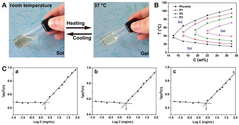 Theranostics Image