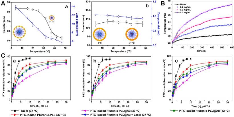 Theranostics Image