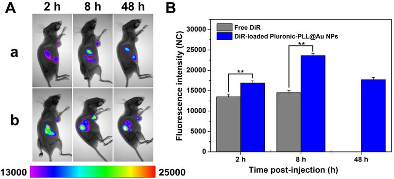 Theranostics Image