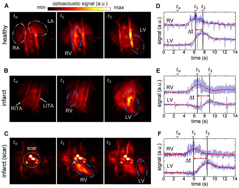 Theranostics Image