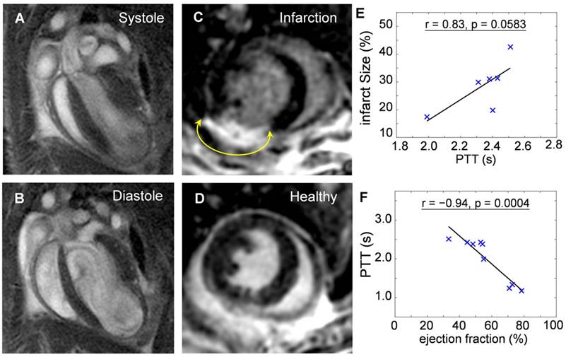 Theranostics Image