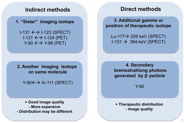 Theranostics Image