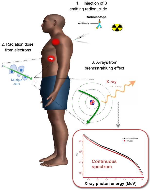 Theranostics Image