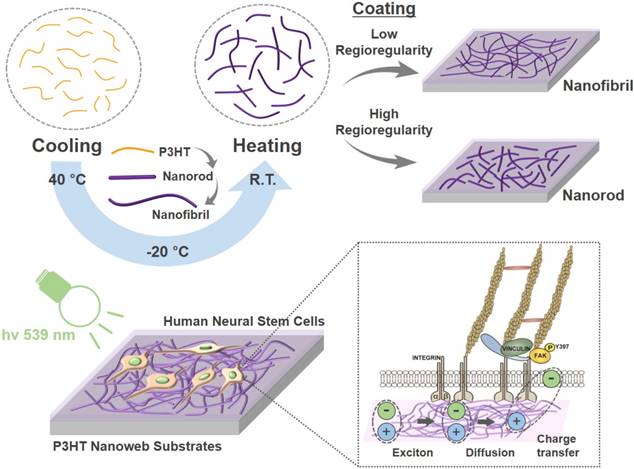 Theranostics Image