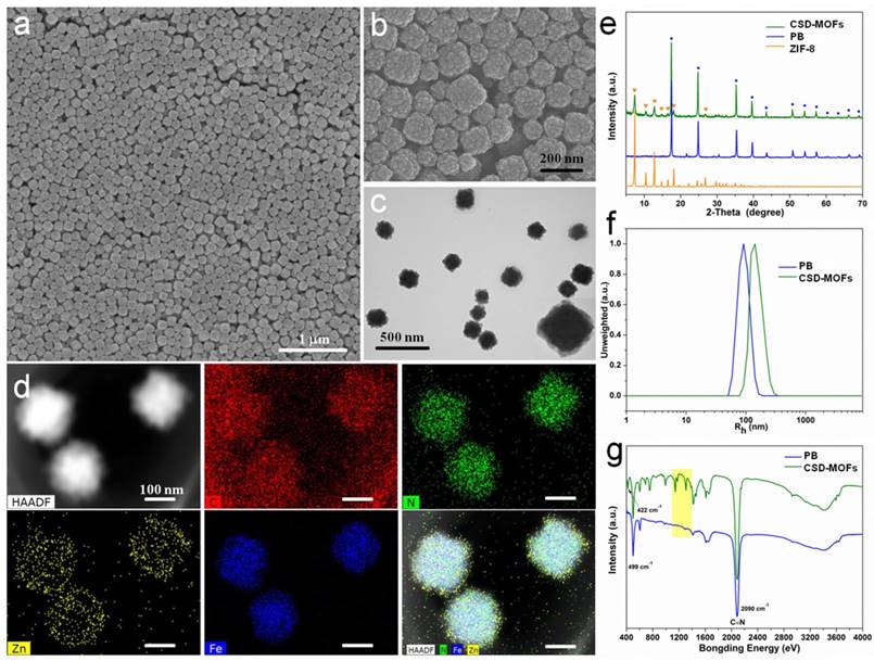 Theranostics Image