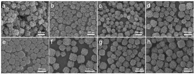 Theranostics Image