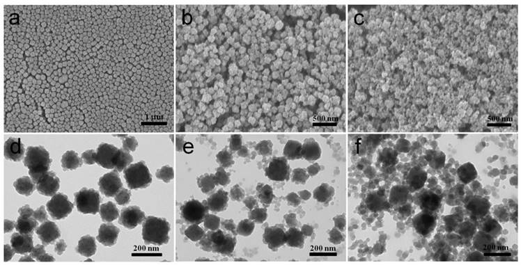 Theranostics Image