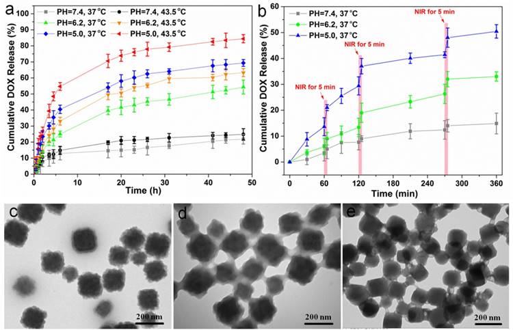 Theranostics Image