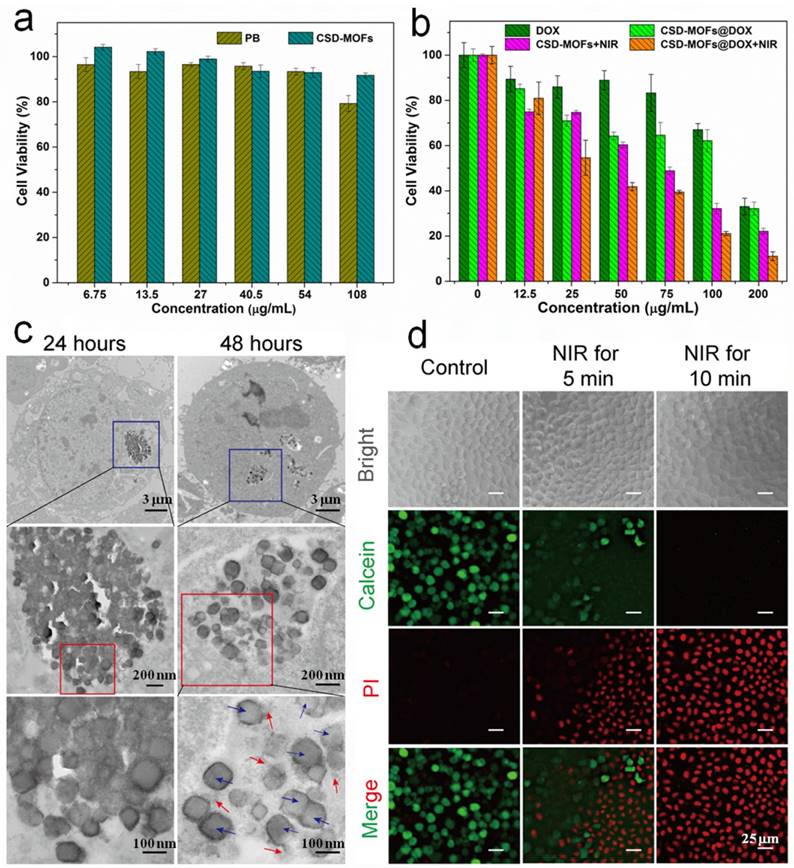 Theranostics Image