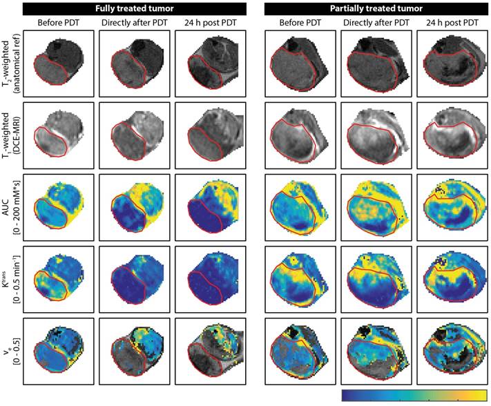 Theranostics Image