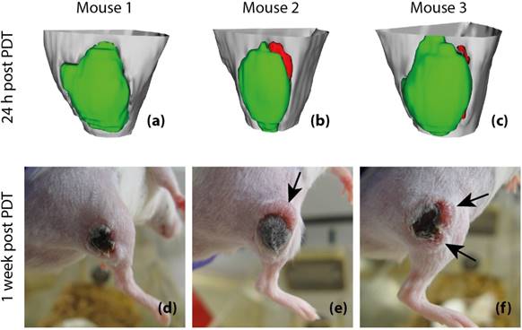 Theranostics Image