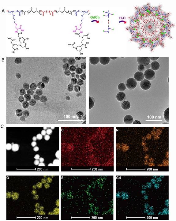 Theranostics Image