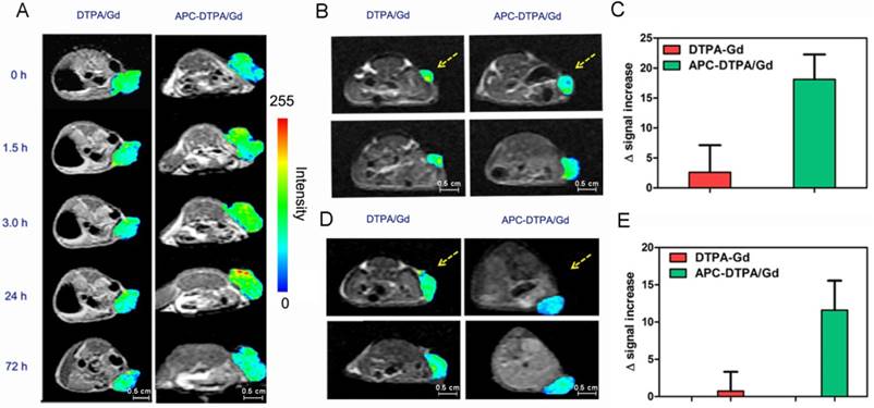 Theranostics Image