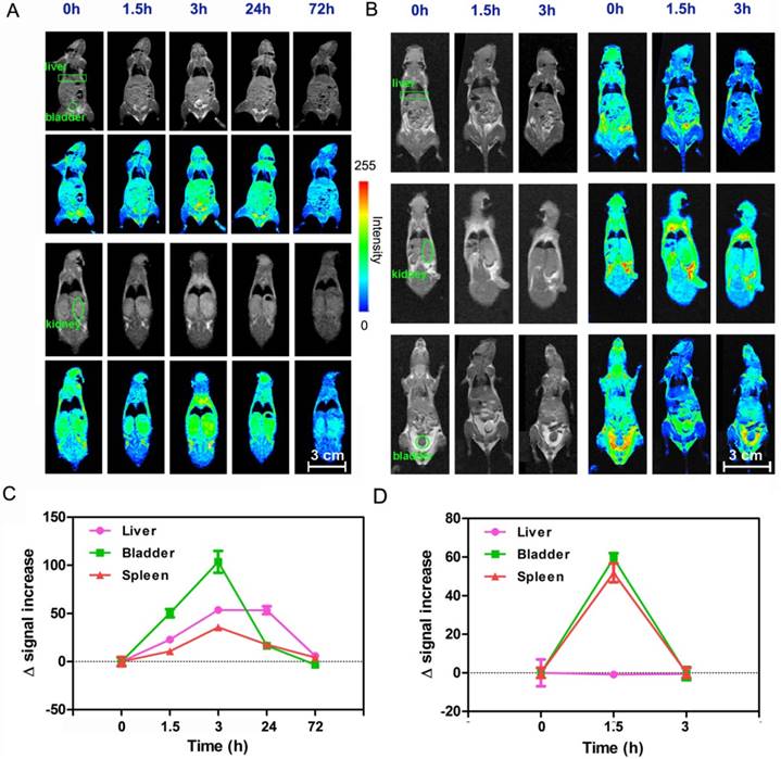 Theranostics Image