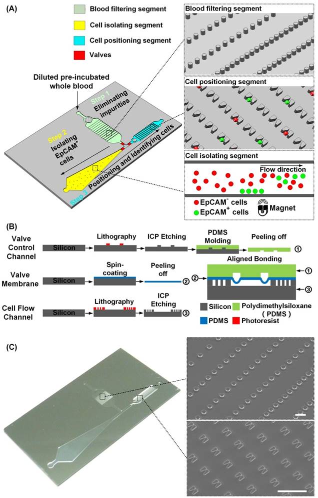 Theranostics Image