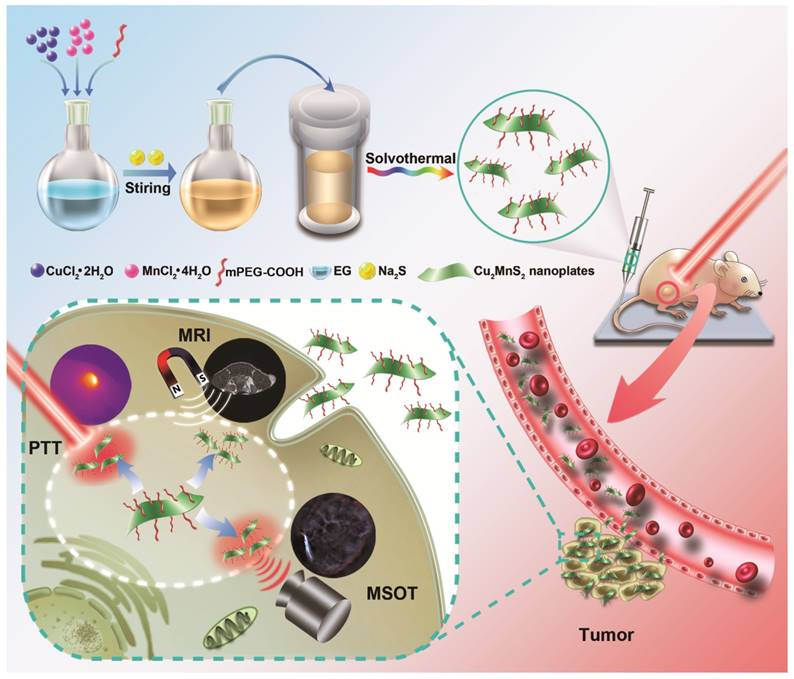 Theranostics Image