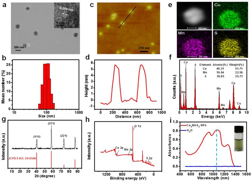 Theranostics Image