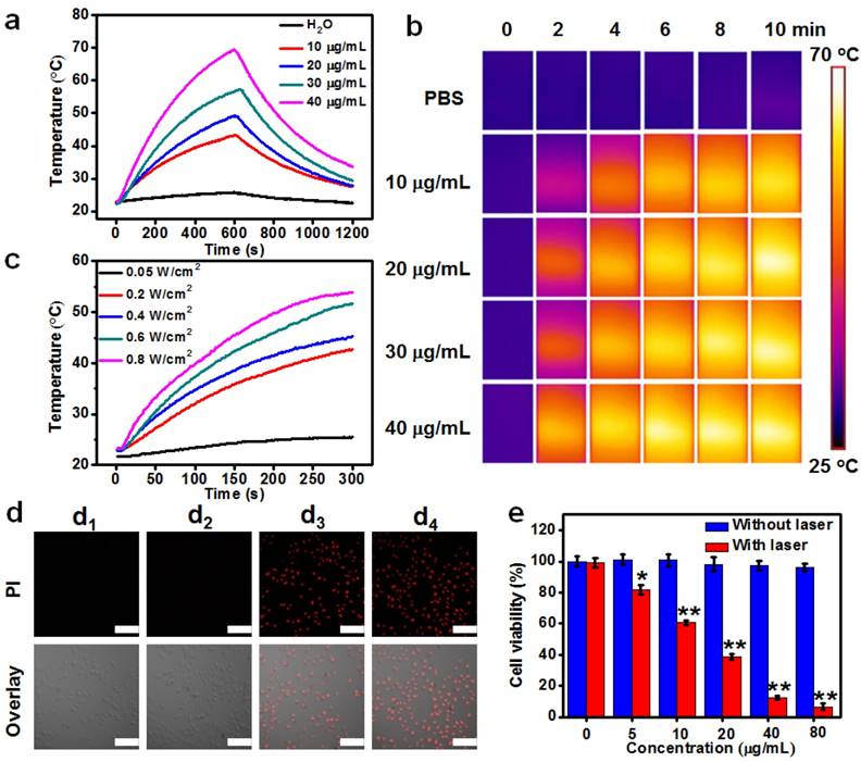 Theranostics Image