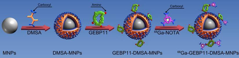 Theranostics Image