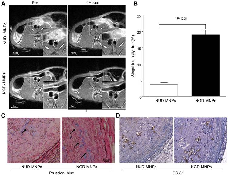 Theranostics Image