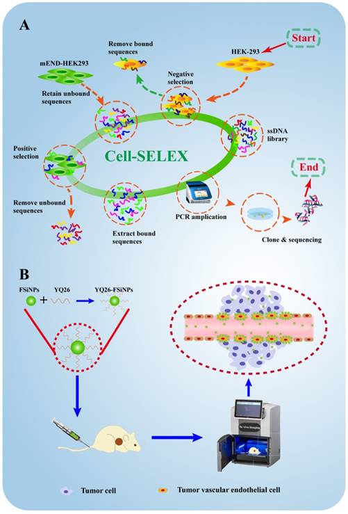 Theranostics Image