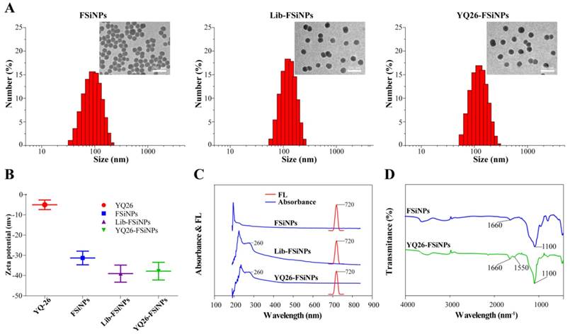 Theranostics Image