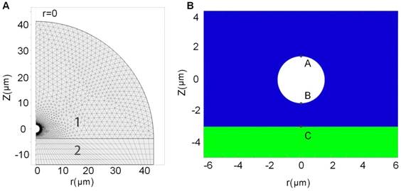 Theranostics Image