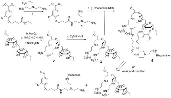 Theranostics Image