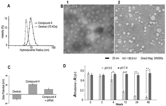 Theranostics Image