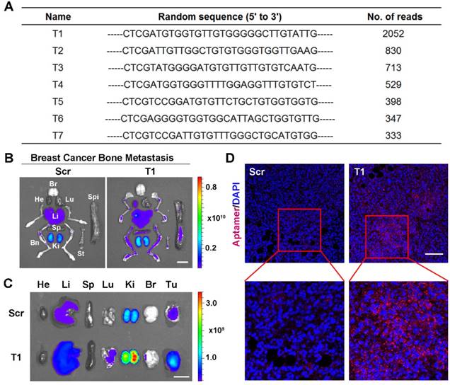 Theranostics Image