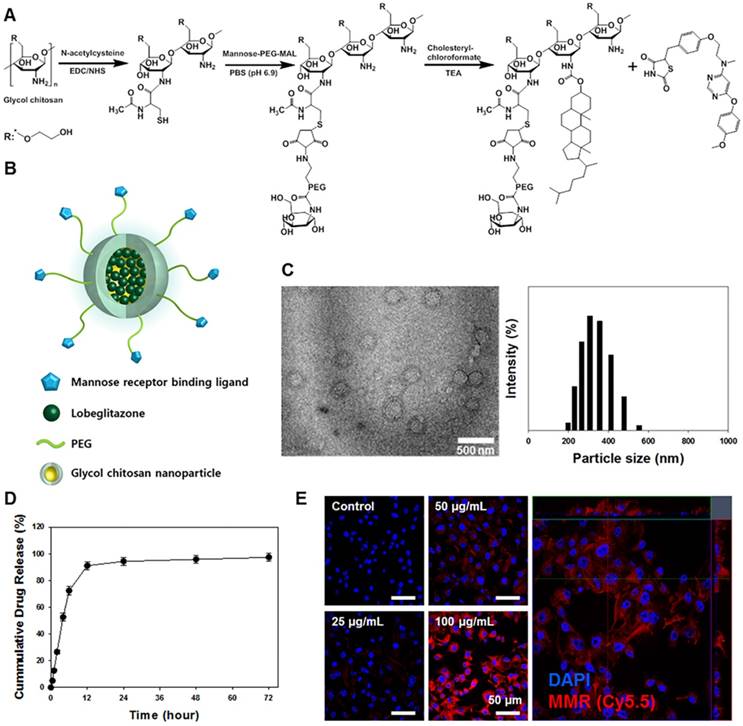 Theranostics Image