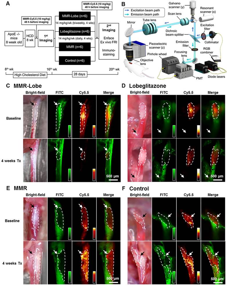 Theranostics Image