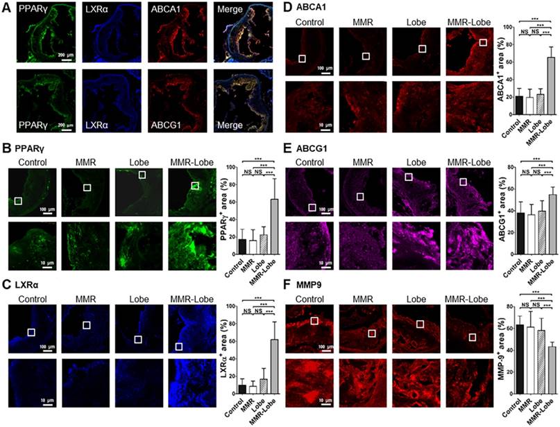 Theranostics Image