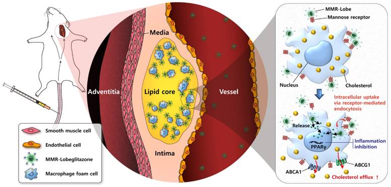 Theranostics Image